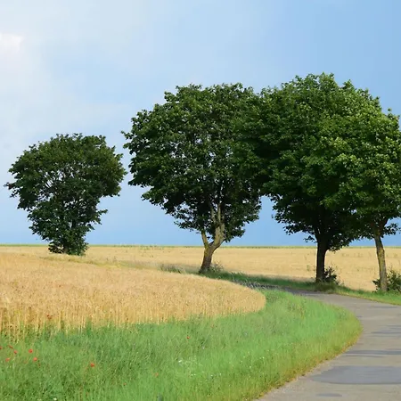 Prázdninový dům Nassauer Forsthaus By Interhome Weikersheim